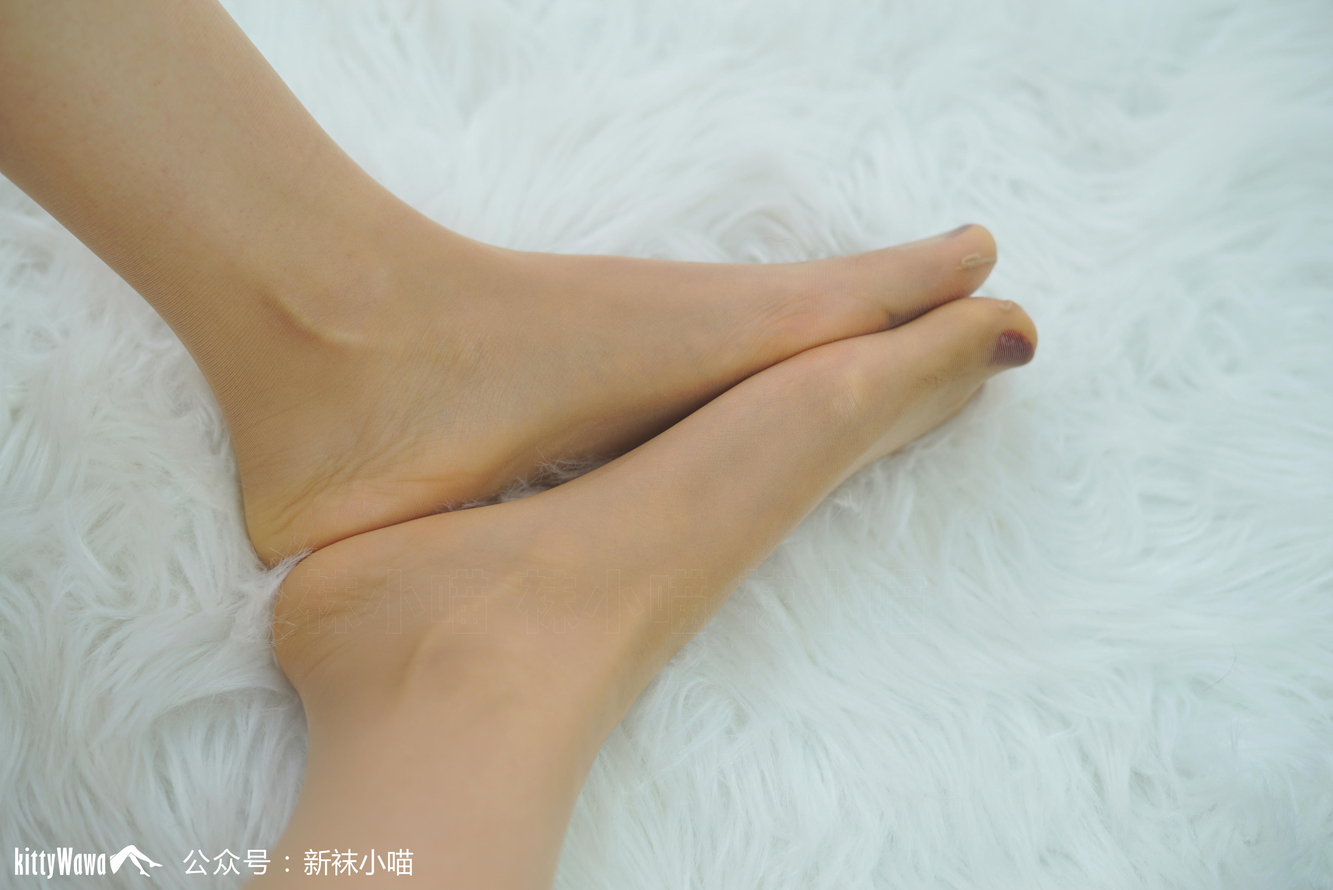 袜小喵 KT076 初冬的白色毛衣 [59P+34M]_第1集