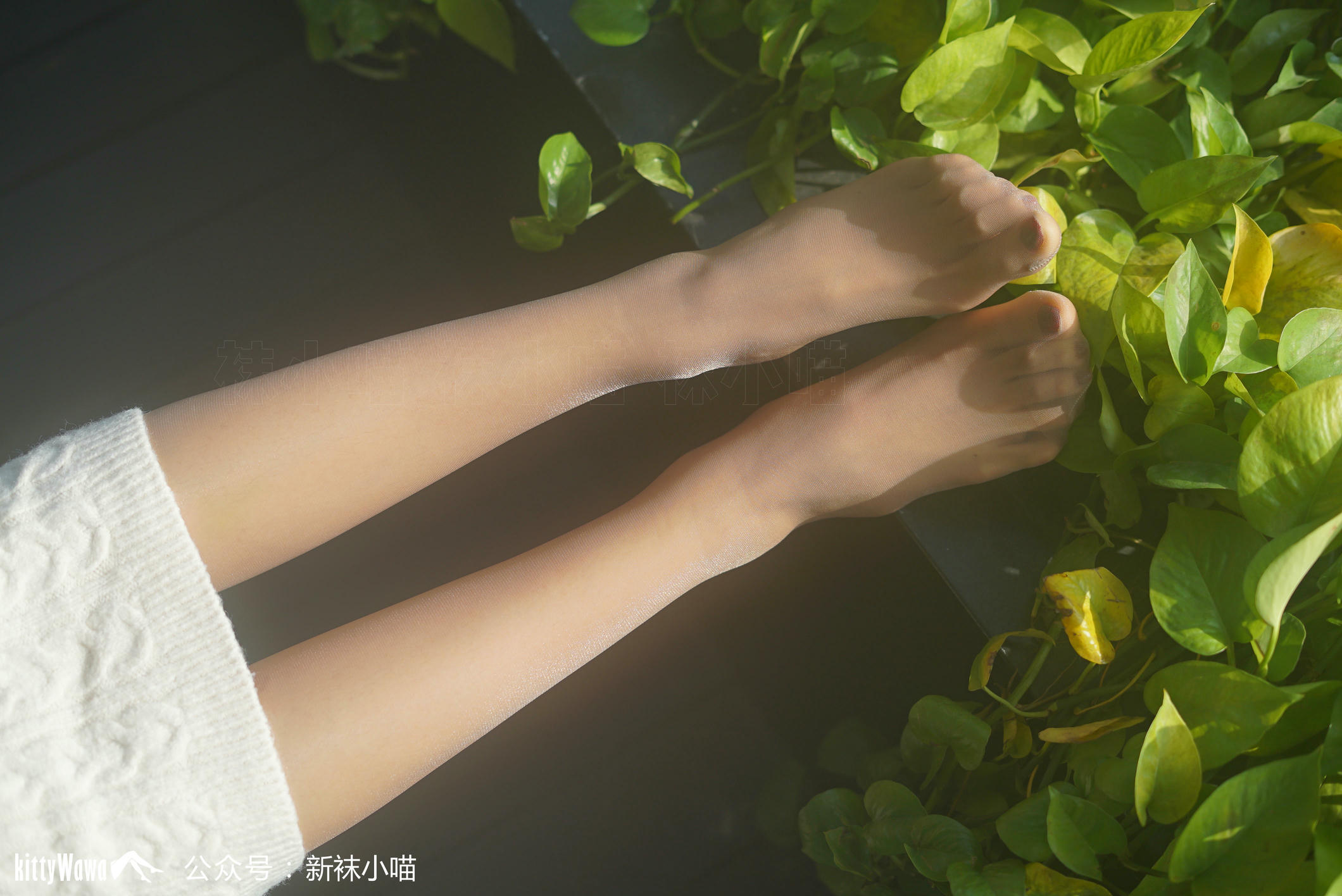 袜小喵 KT080 圣诞雪精灵 [59P+52M]_第2集