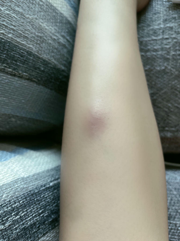 小仓千代w NO.000 (yummychiyo) [Twitter] (17.11.2022) [396P14V-108MB]_第14集