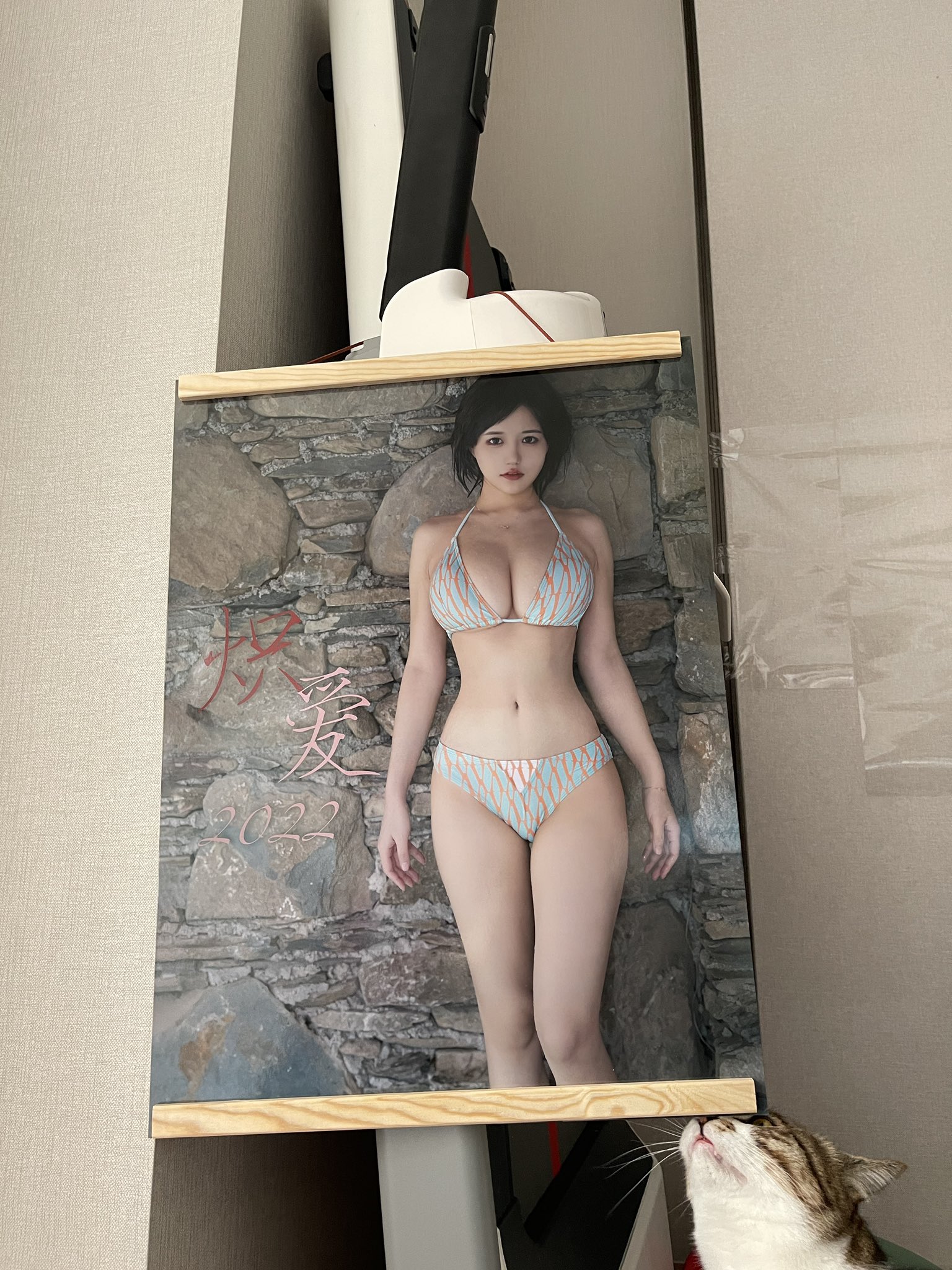 小仓千代w NO.000 (yummychiyo) [Twitter] (17.11.2022) [396P14V-108MB]_第36集