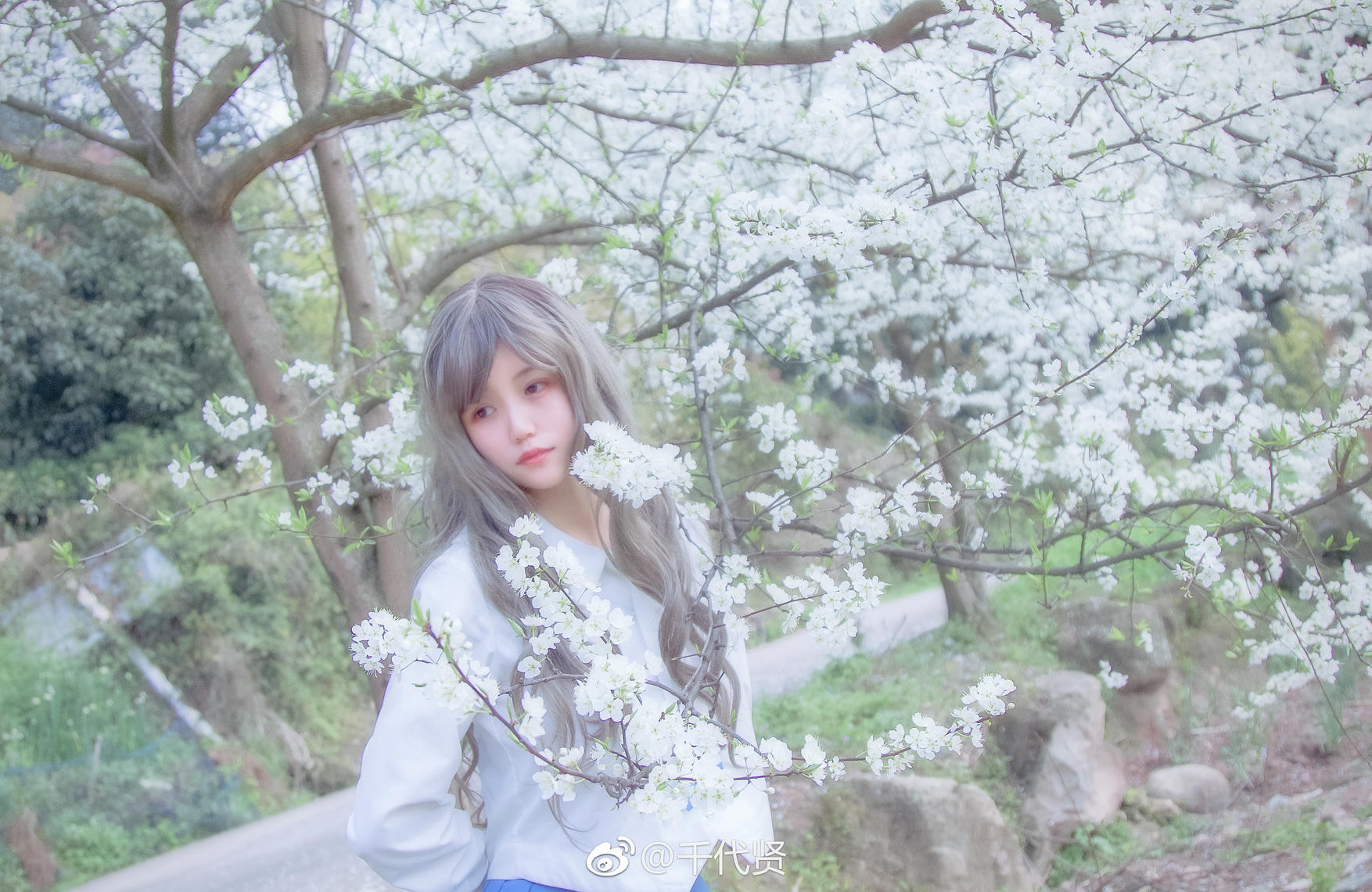 小仓千代w 微博图[354P-1.8GB]-其它 [232P-962M]_第5集