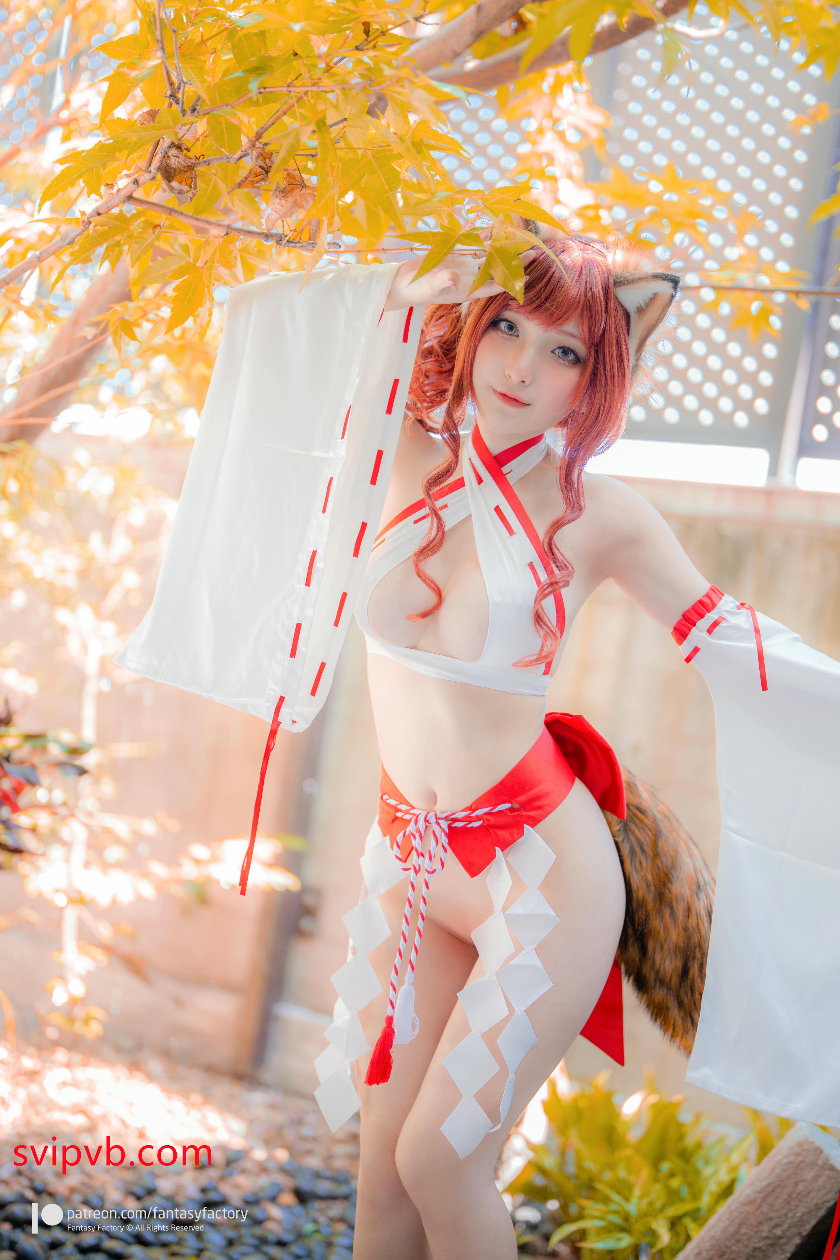 台湾写真模特fantastic小丁-Fox miko__第1集
