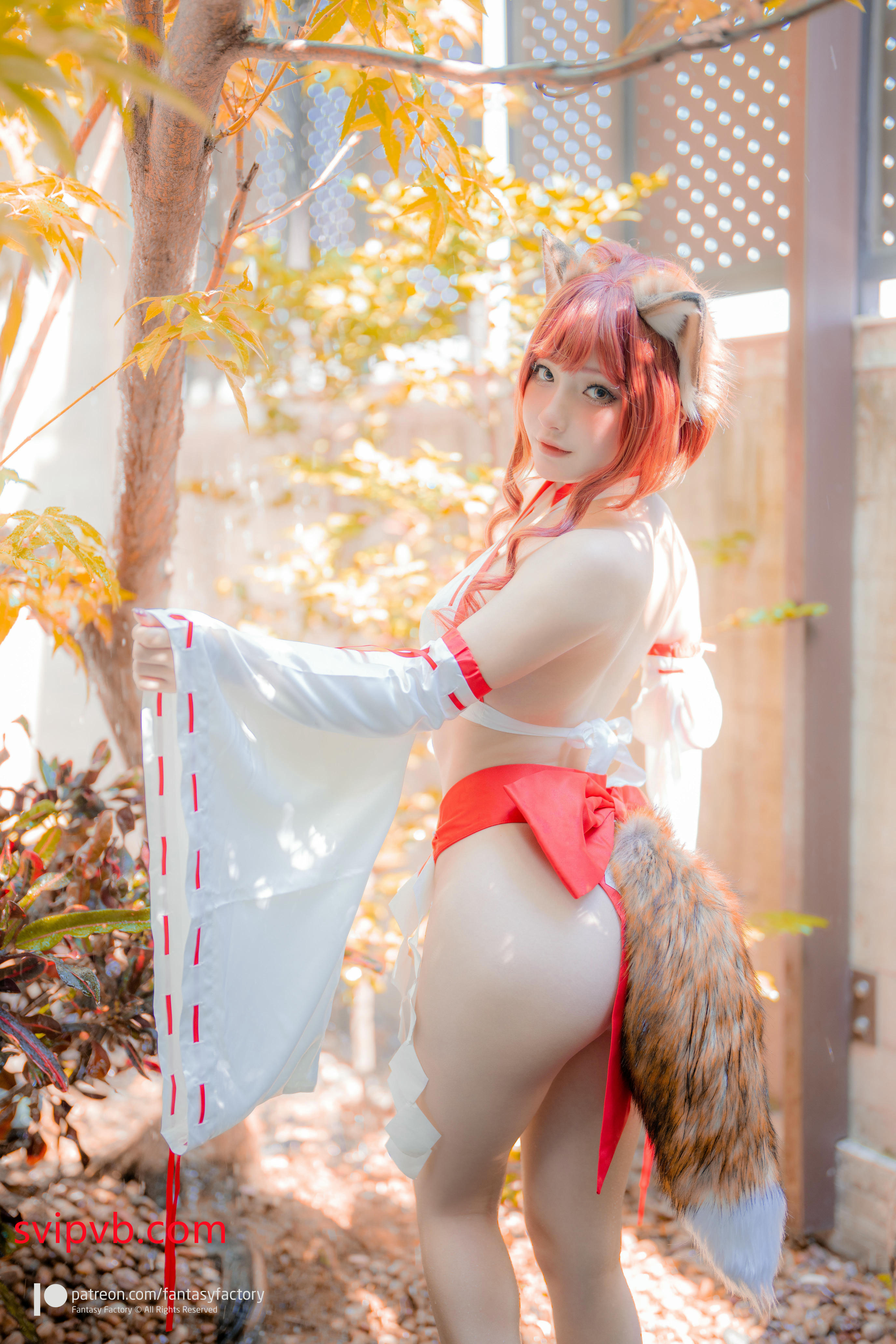 台湾写真模特fantastic小丁-Fox miko__第1集