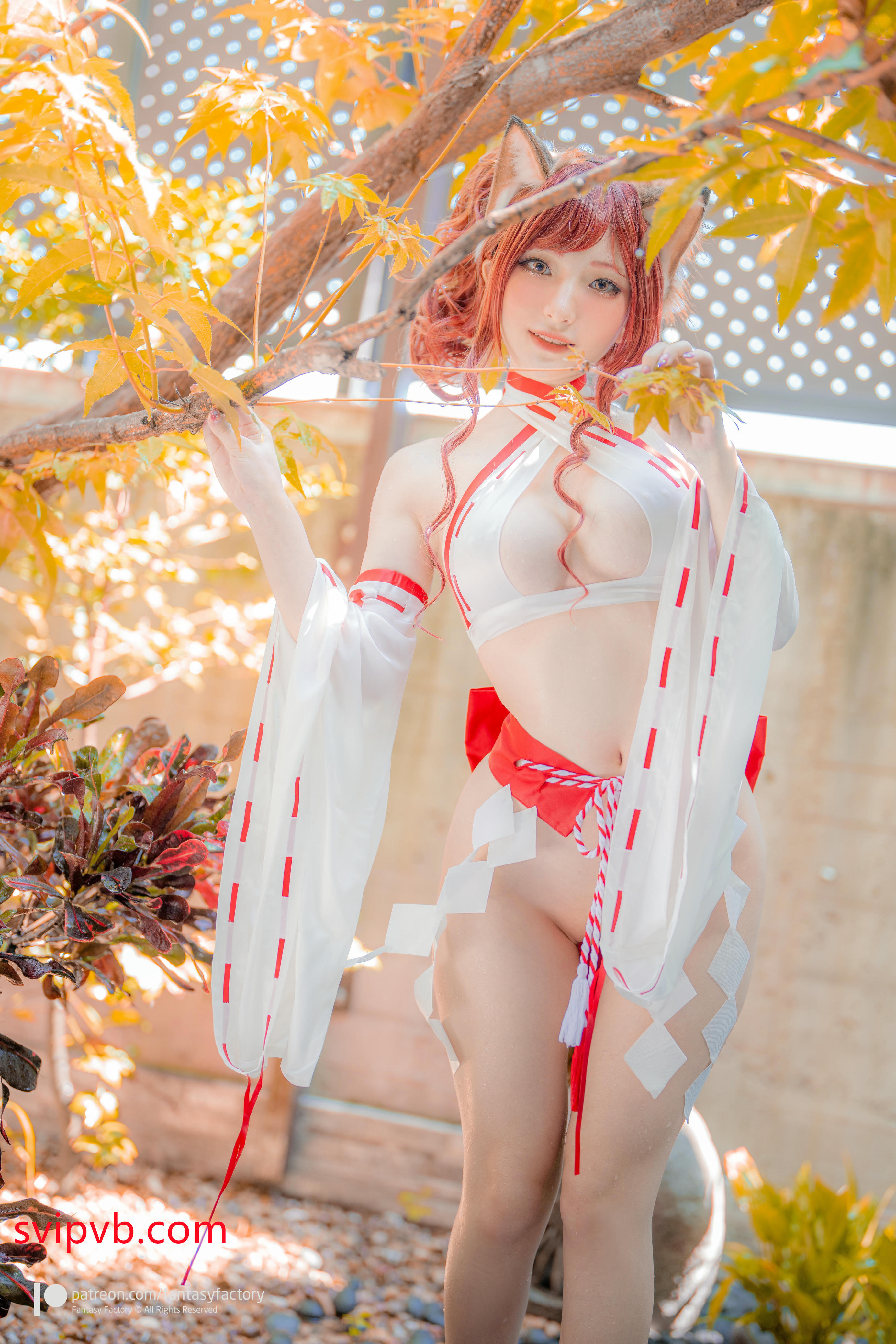 台湾写真模特fantastic小丁-Fox miko__第1集