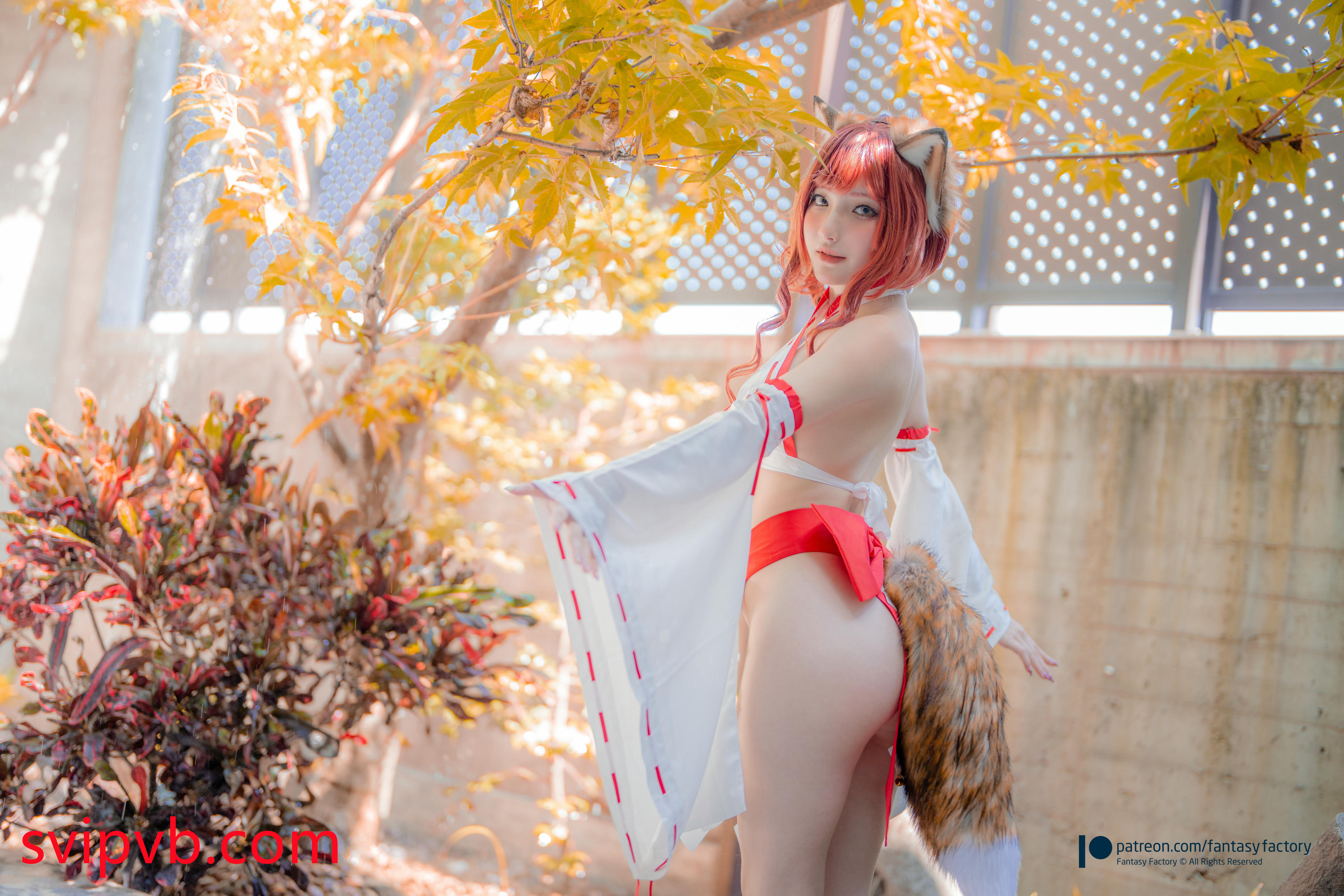台湾写真模特fantastic小丁-Fox miko__1_第1集