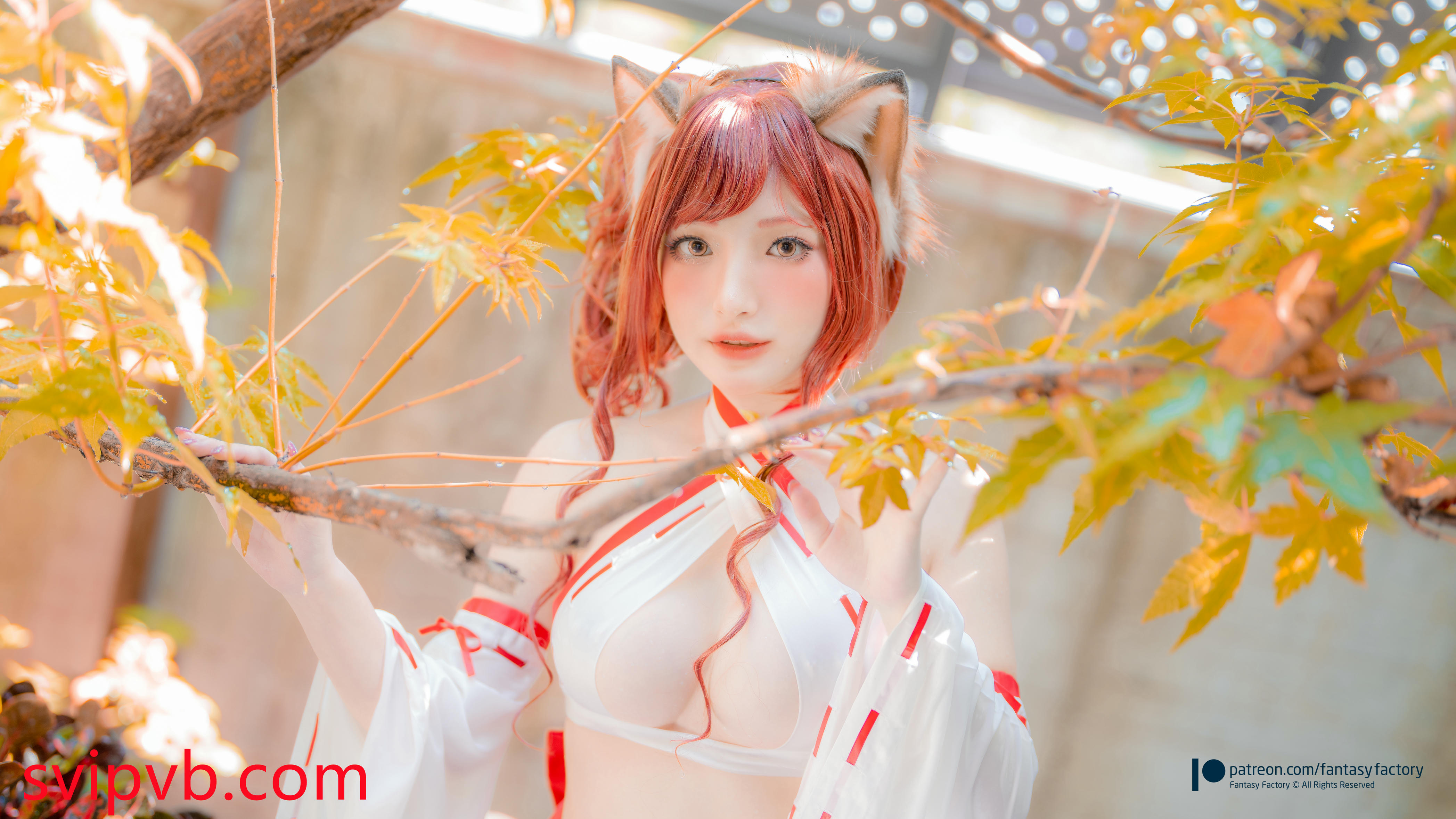 台湾写真模特fantastic小丁-Fox miko__1_第1集
