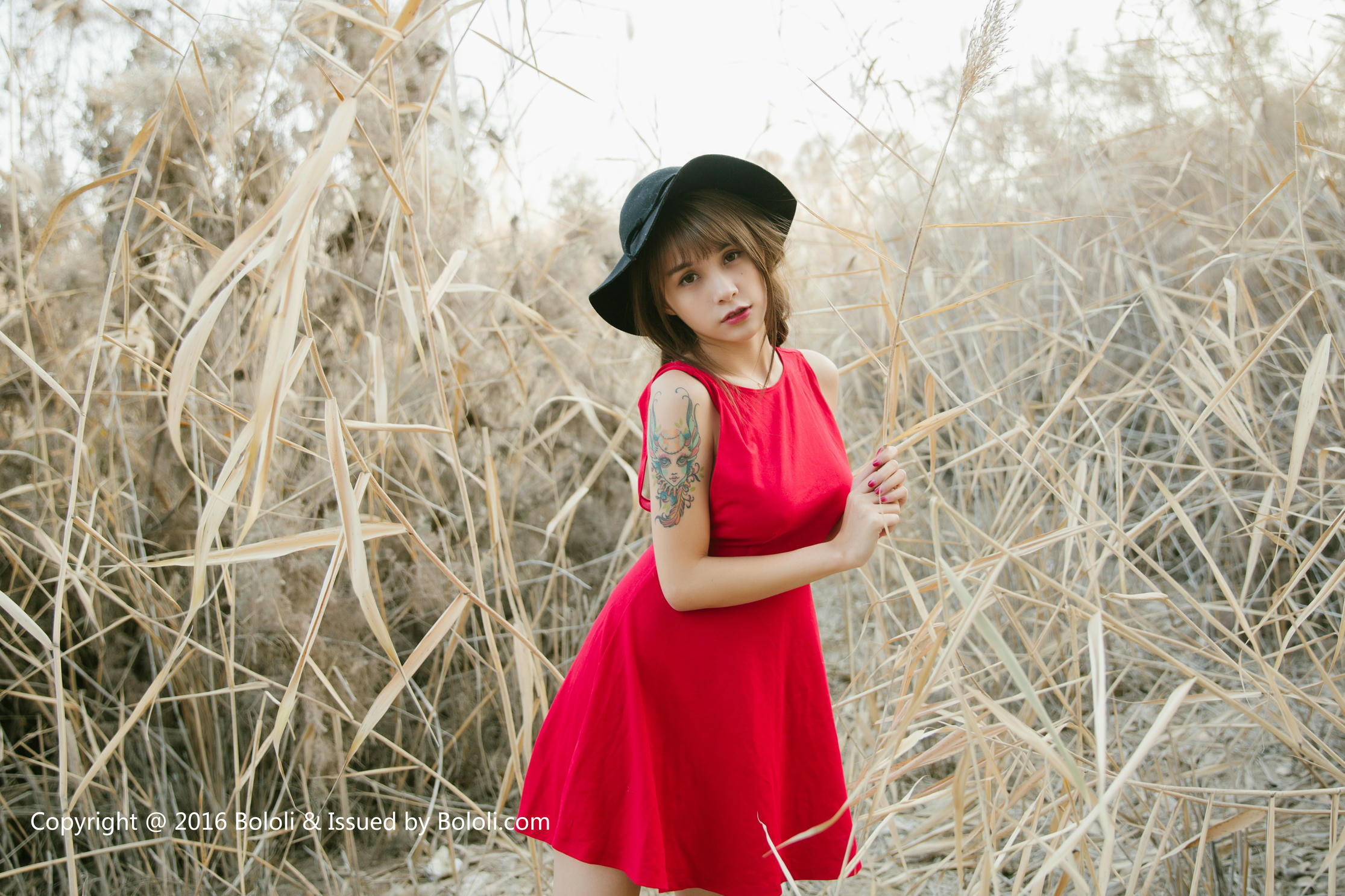 夏美酱 NO.020 [BoLoli波萝社] 2016.12.29 BOL017 胡杨林里的 - 沙漠之旅 [40P-474MB]_第1集