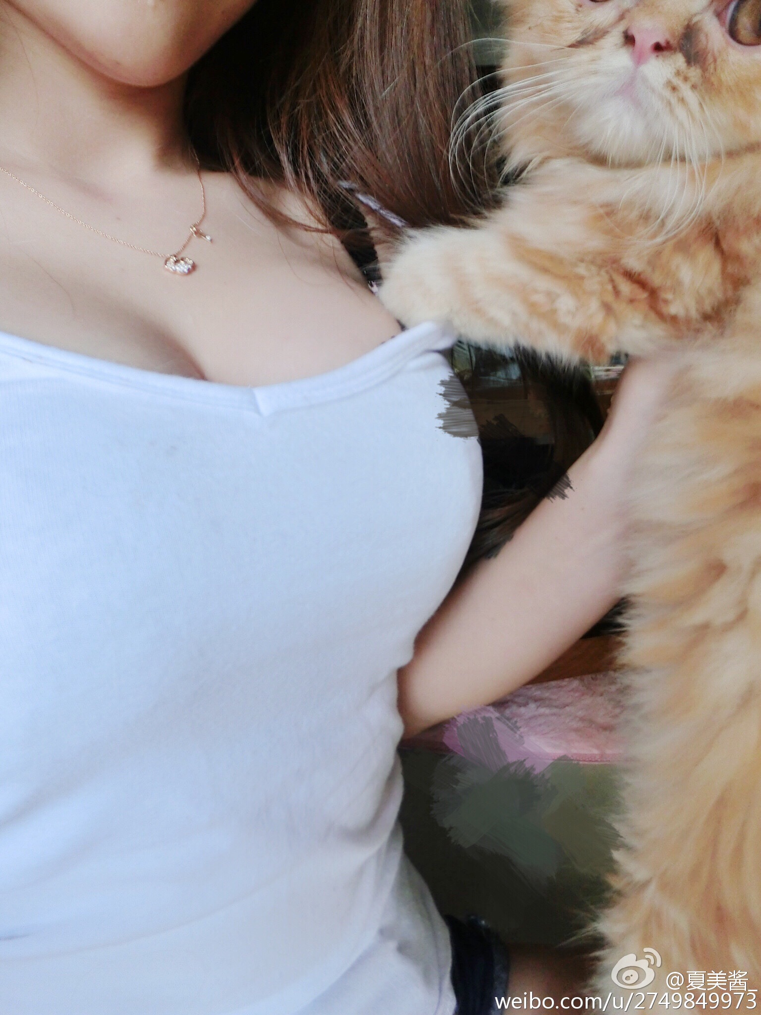 夏美酱 NO.053 人气美少女微博私房照打包下载 [151P-245MB]_第5集