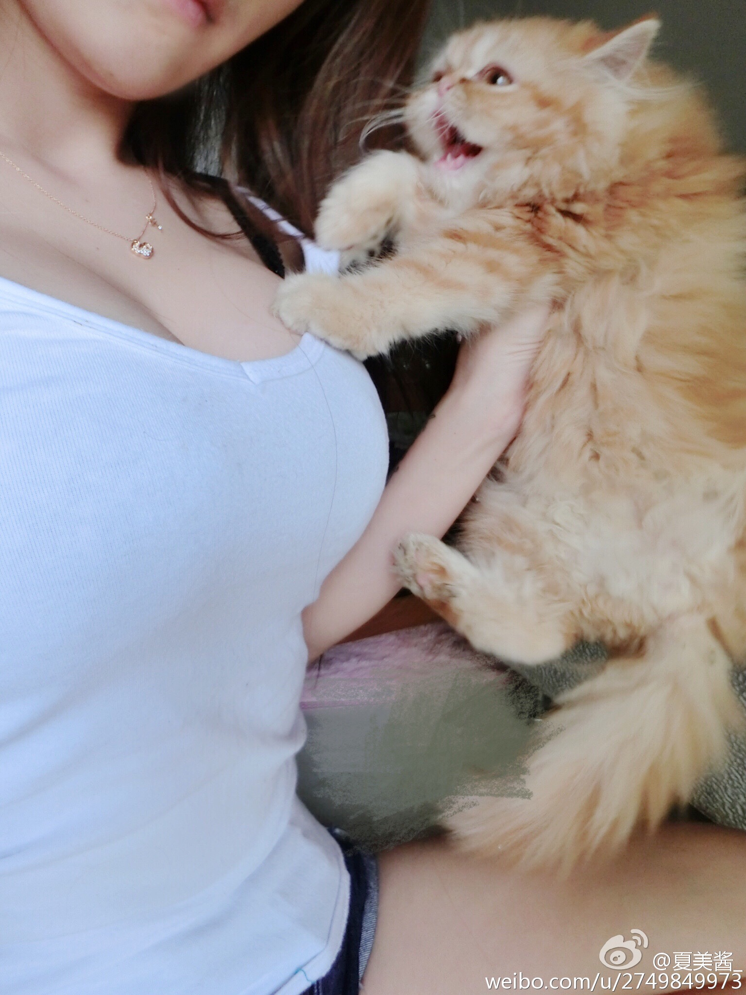 夏美酱 NO.053 人气美少女微博私房照打包下载 [151P-245MB]_第5集