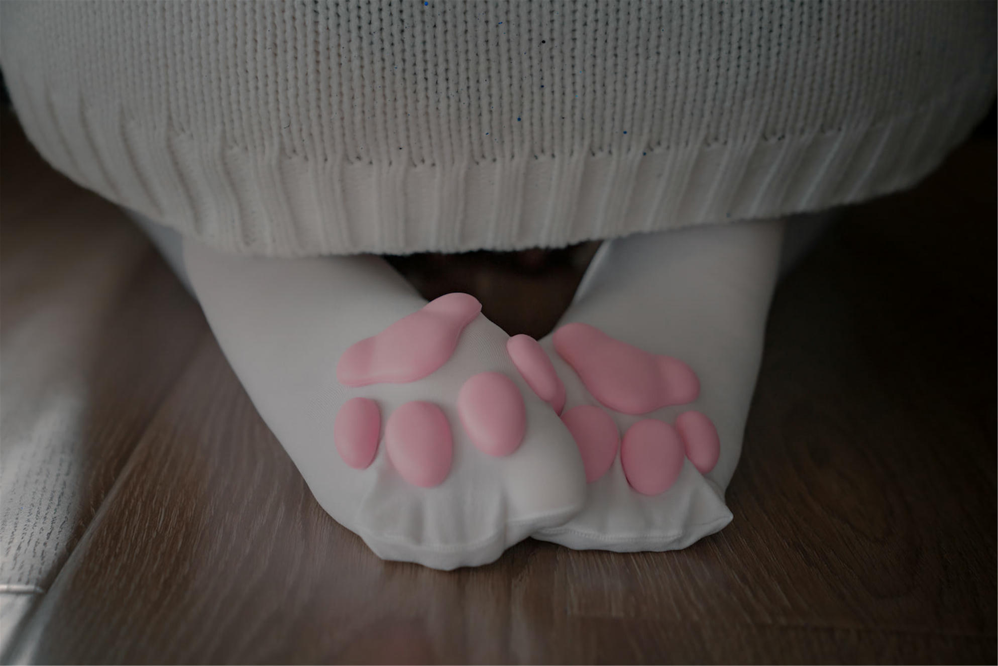 轩萧学姐 NO.011 猫爪袜 [40P-118MB]_第2集