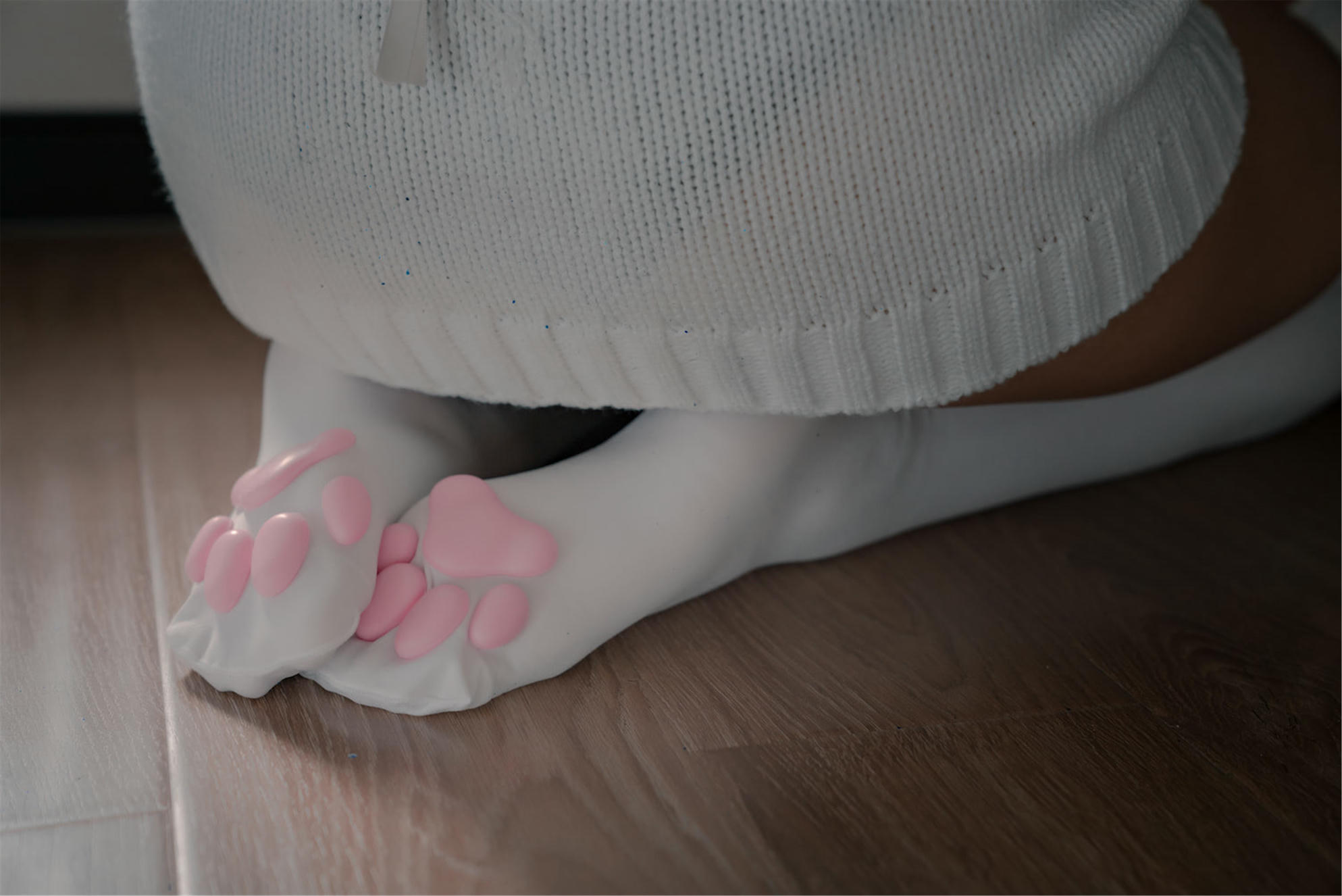 轩萧学姐 NO.011 猫爪袜 [40P-118MB]_第2集