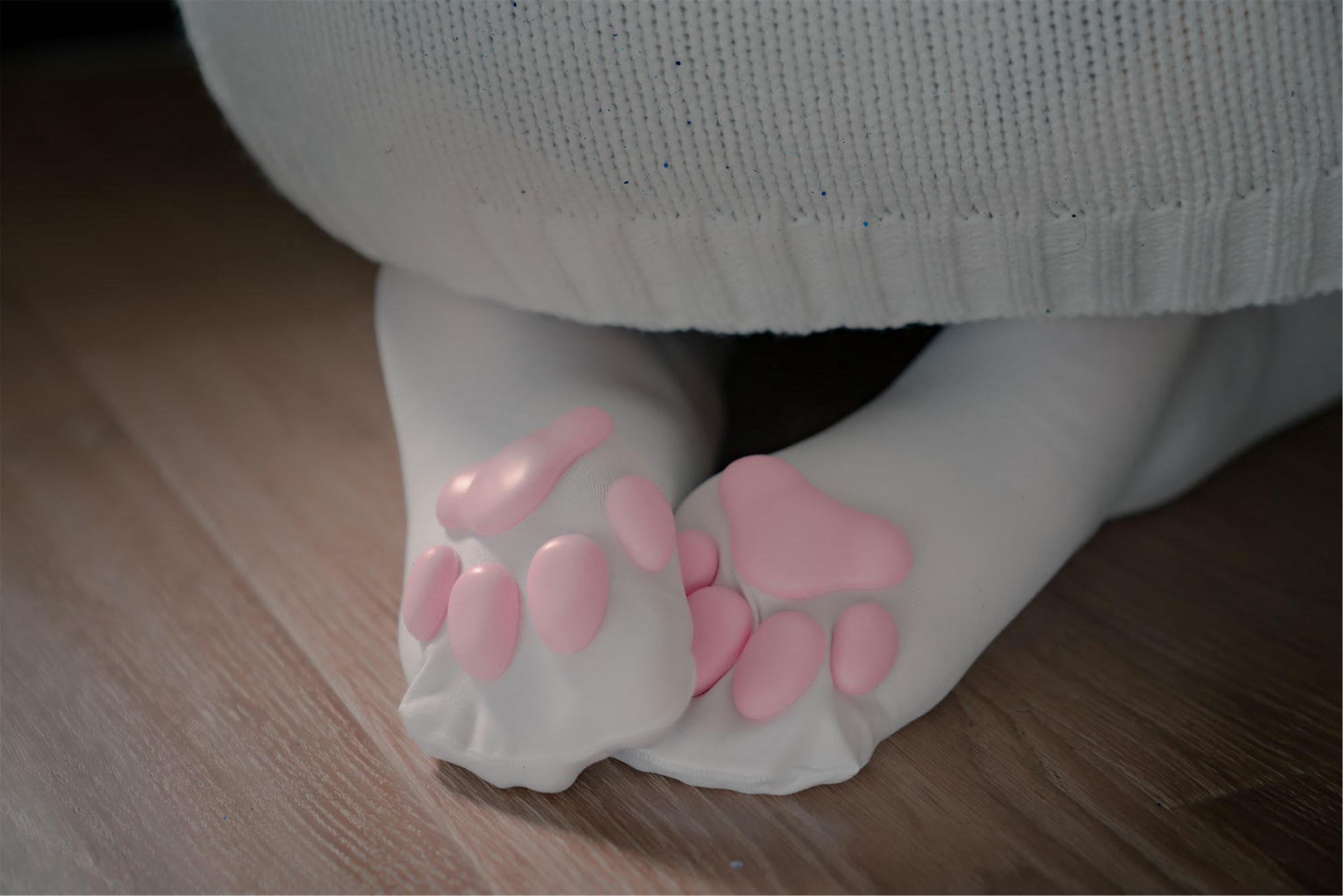 轩萧学姐 NO.011 猫爪袜 [40P-118MB]_第2集