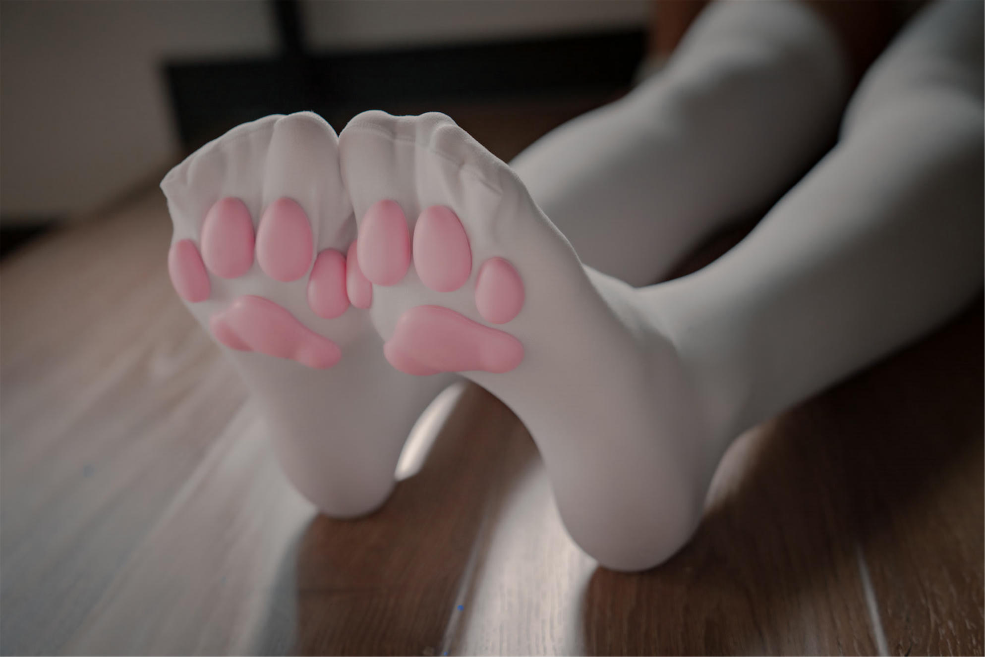 轩萧学姐 NO.011 猫爪袜 [40P-118MB]_第2集