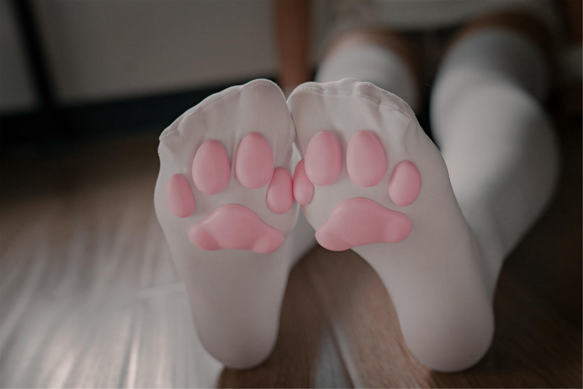 轩萧学姐 NO.011 猫爪袜 [40P-118MB]_第2集