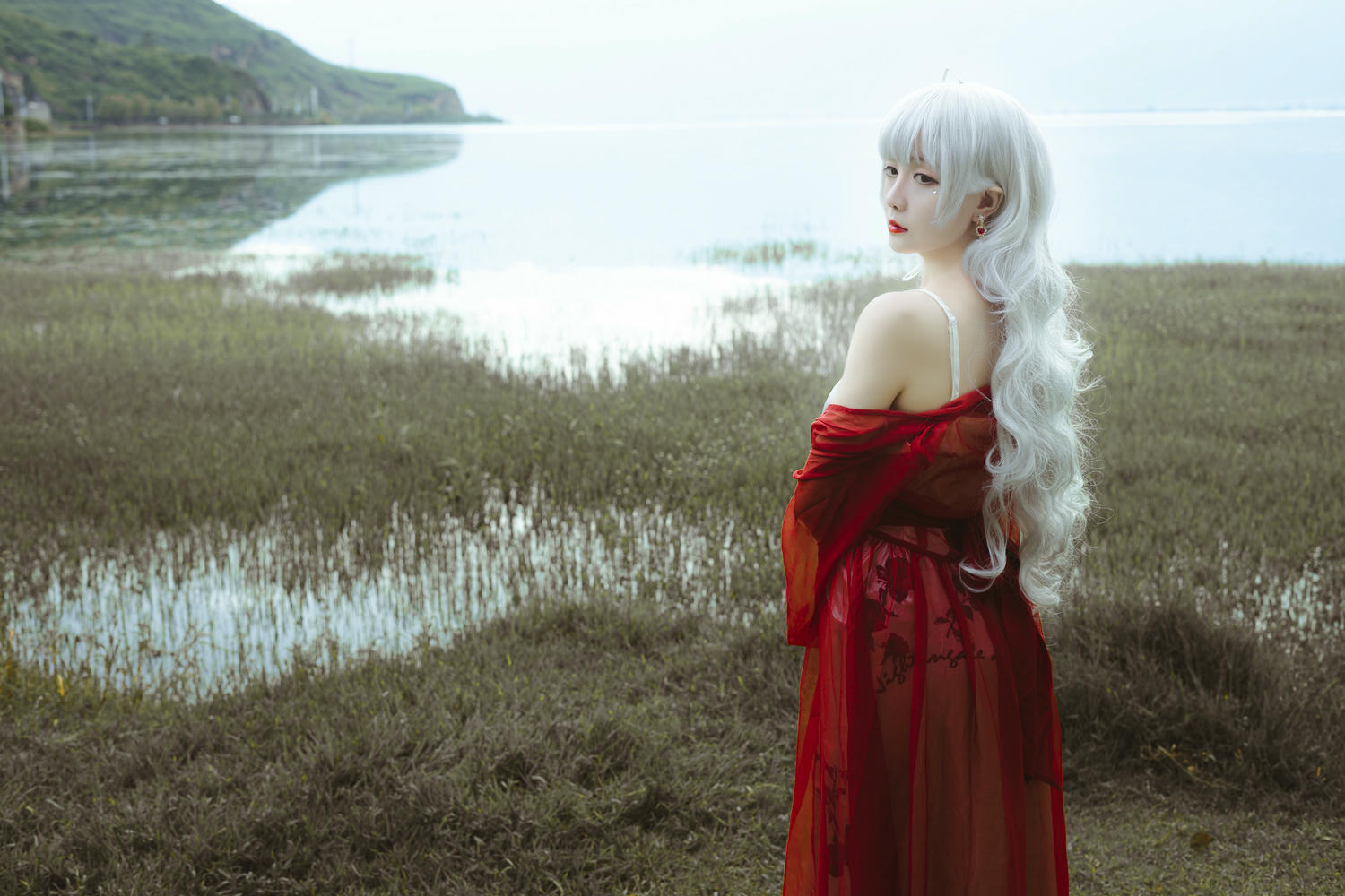 星之迟迟 - NO.07 花鸟风月 电子版 [305P-955MB]-实体本赠送壁纸包_第1集