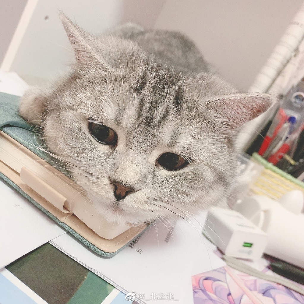 一北亦北 NO.000 微博相册 [392P 1.58GB]-微博配图_第6集