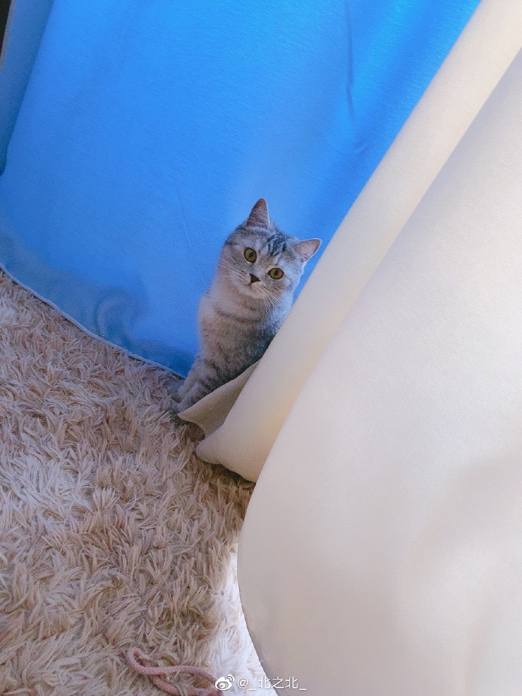 一北亦北 NO.000 微博相册 [392P 1.58GB]-微博配图_第8集