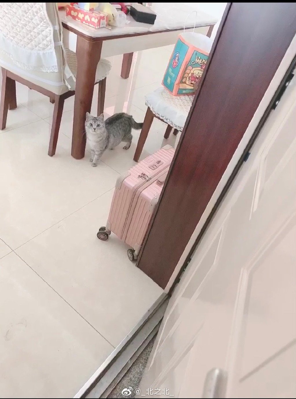 一北亦北 NO.000 微博相册 [392P 1.58GB]-微博配图_第8集