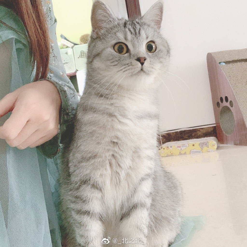 一北亦北 NO.000 微博相册 [392P 1.58GB]-微博配图_第11集