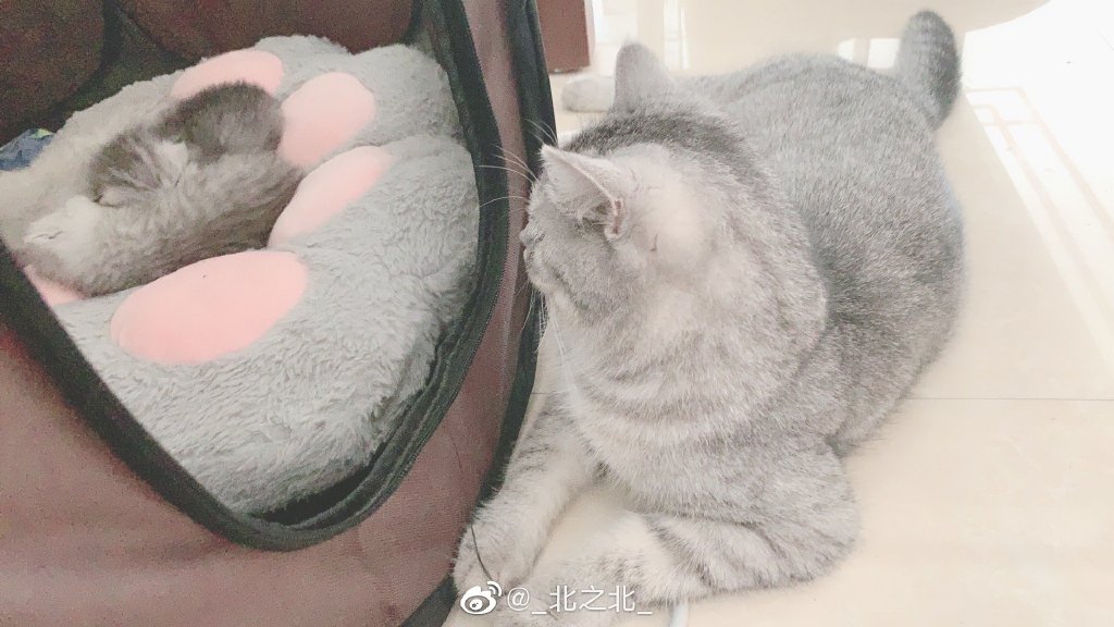 一北亦北 NO.000 微博相册 [392P 1.58GB]-微博配图_第13集