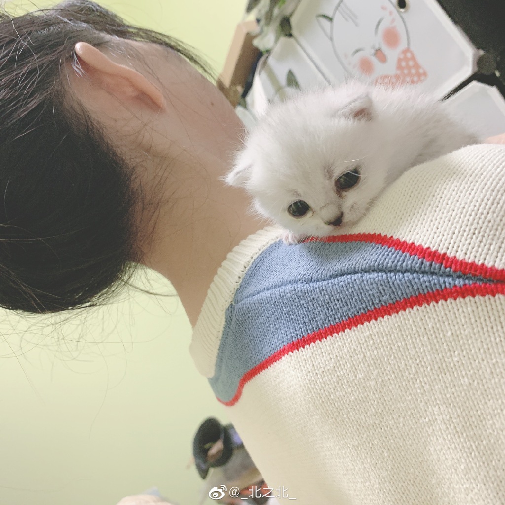 一北亦北 NO.000 微博相册 [392P 1.58GB]-微博配图_第13集