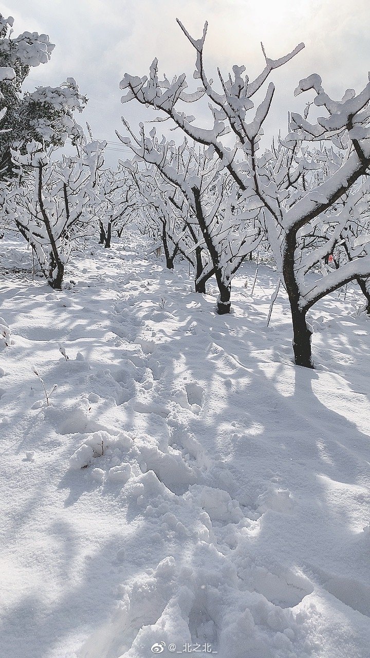 一北亦北 NO.000 微博相册 [392P 1.58GB]-微博配图_第2集