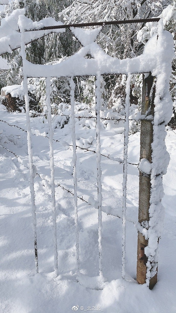 一北亦北 NO.000 微博相册 [392P 1.58GB]-微博配图_第2集