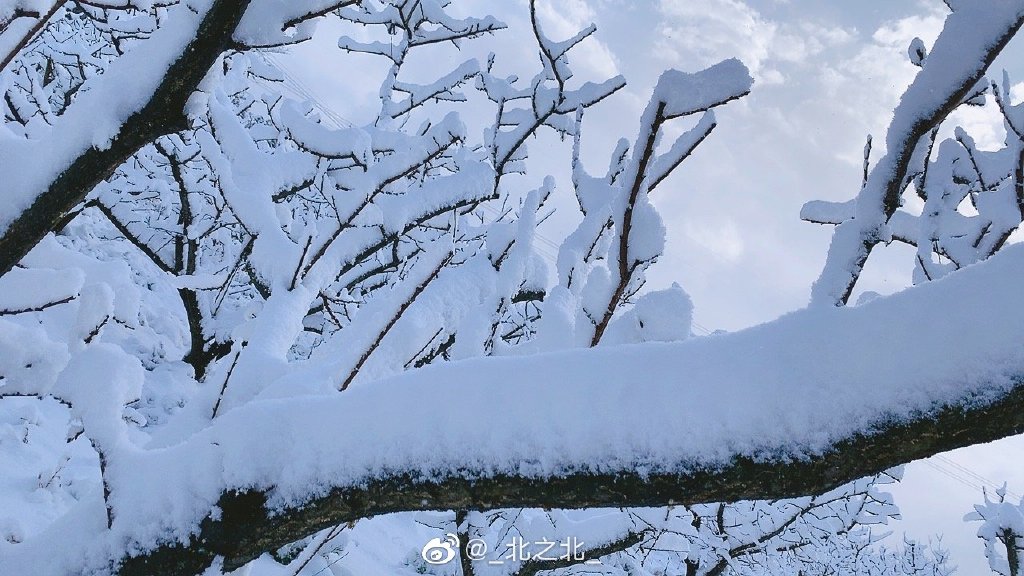 一北亦北 NO.000 微博相册 [392P 1.58GB]-微博配图_第2集