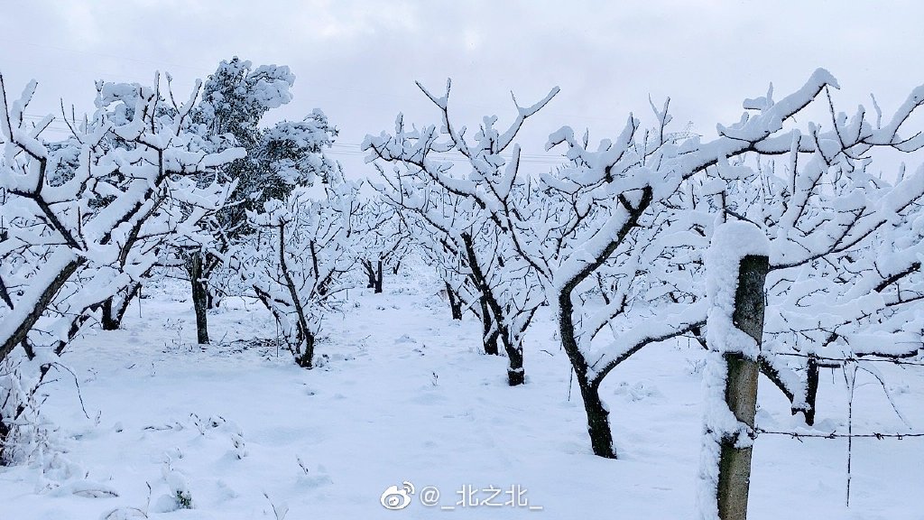 一北亦北 NO.000 微博相册 [392P 1.58GB]-微博配图_第2集