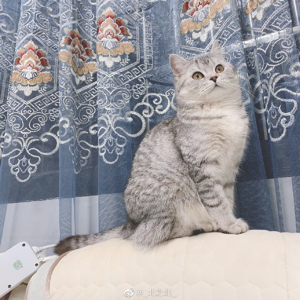 一北亦北 NO.000 微博相册 [392P 1.58GB]-微博配图_第3集