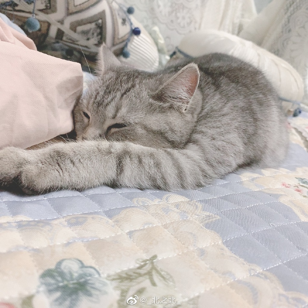 一北亦北 NO.000 微博相册 [392P 1.58GB]-微博配图_第3集