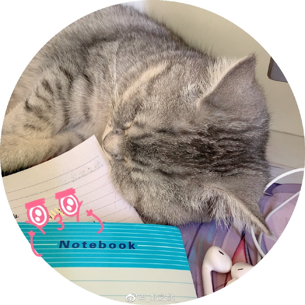 一北亦北 NO.000 微博相册 [392P 1.58GB]-微博配图_第3集