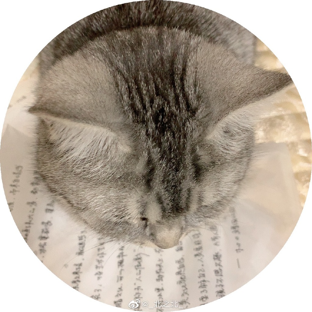 一北亦北 NO.000 微博相册 [392P 1.58GB]-微博配图_第3集