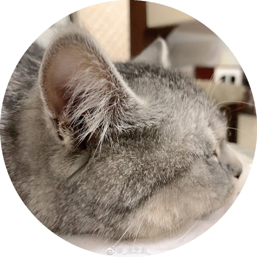 一北亦北 NO.000 微博相册 [392P 1.58GB]-微博配图_第4集