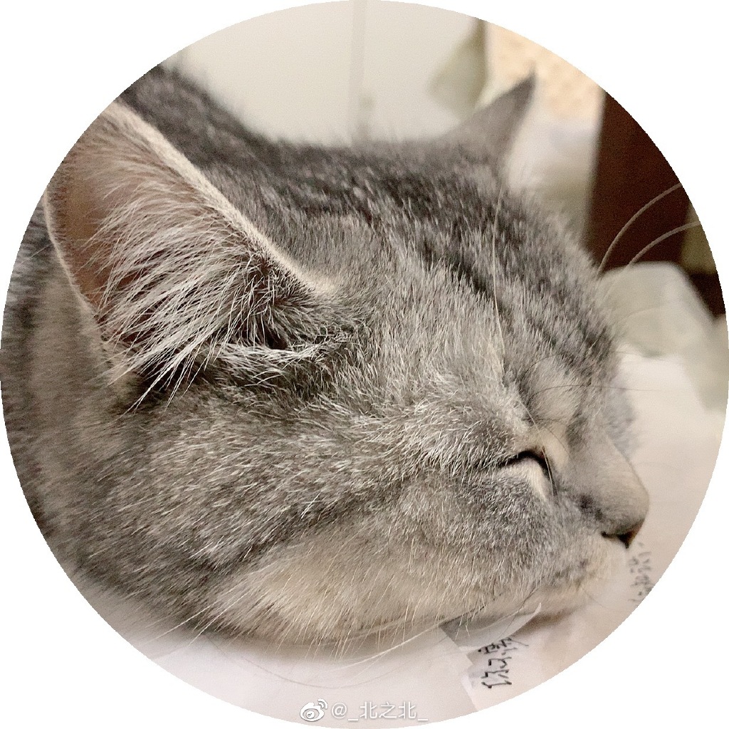 一北亦北 NO.000 微博相册 [392P 1.58GB]-微博配图_第4集