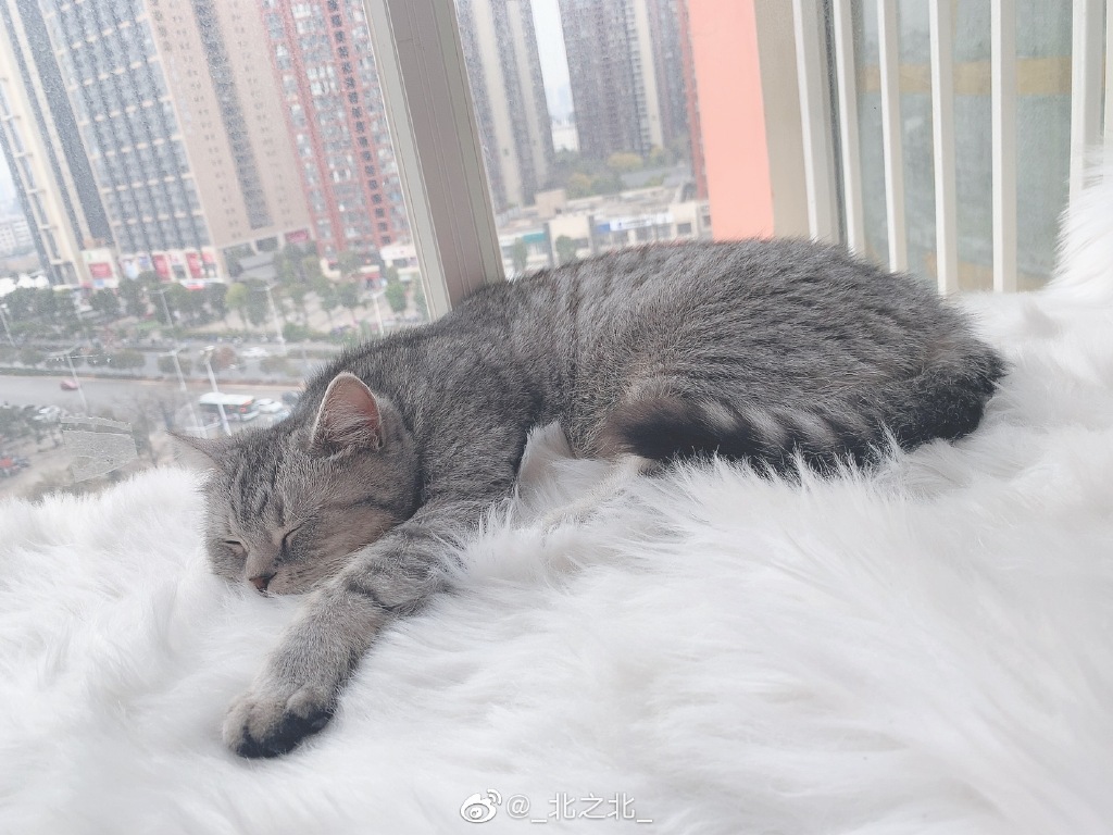 一北亦北 NO.000 微博相册 [392P 1.58GB]-微博配图_第4集