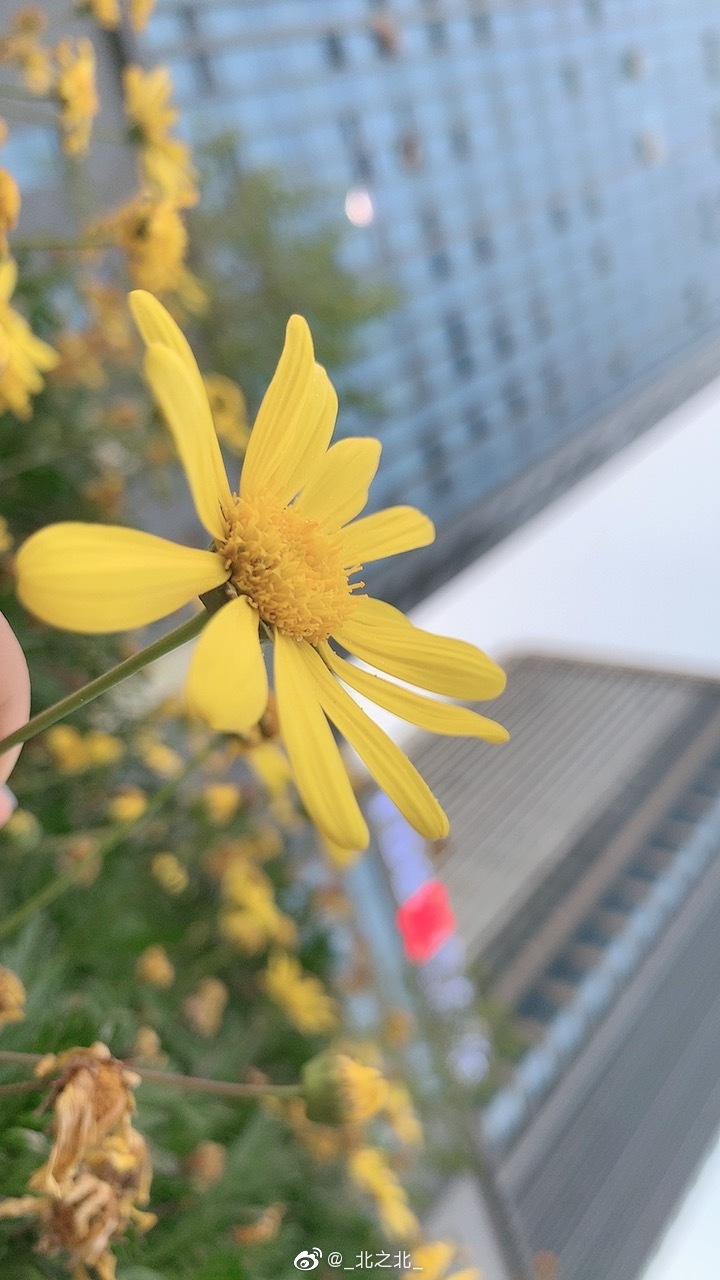 一北亦北 NO.000 微博相册 [392P 1.58GB]-微博配图_第4集