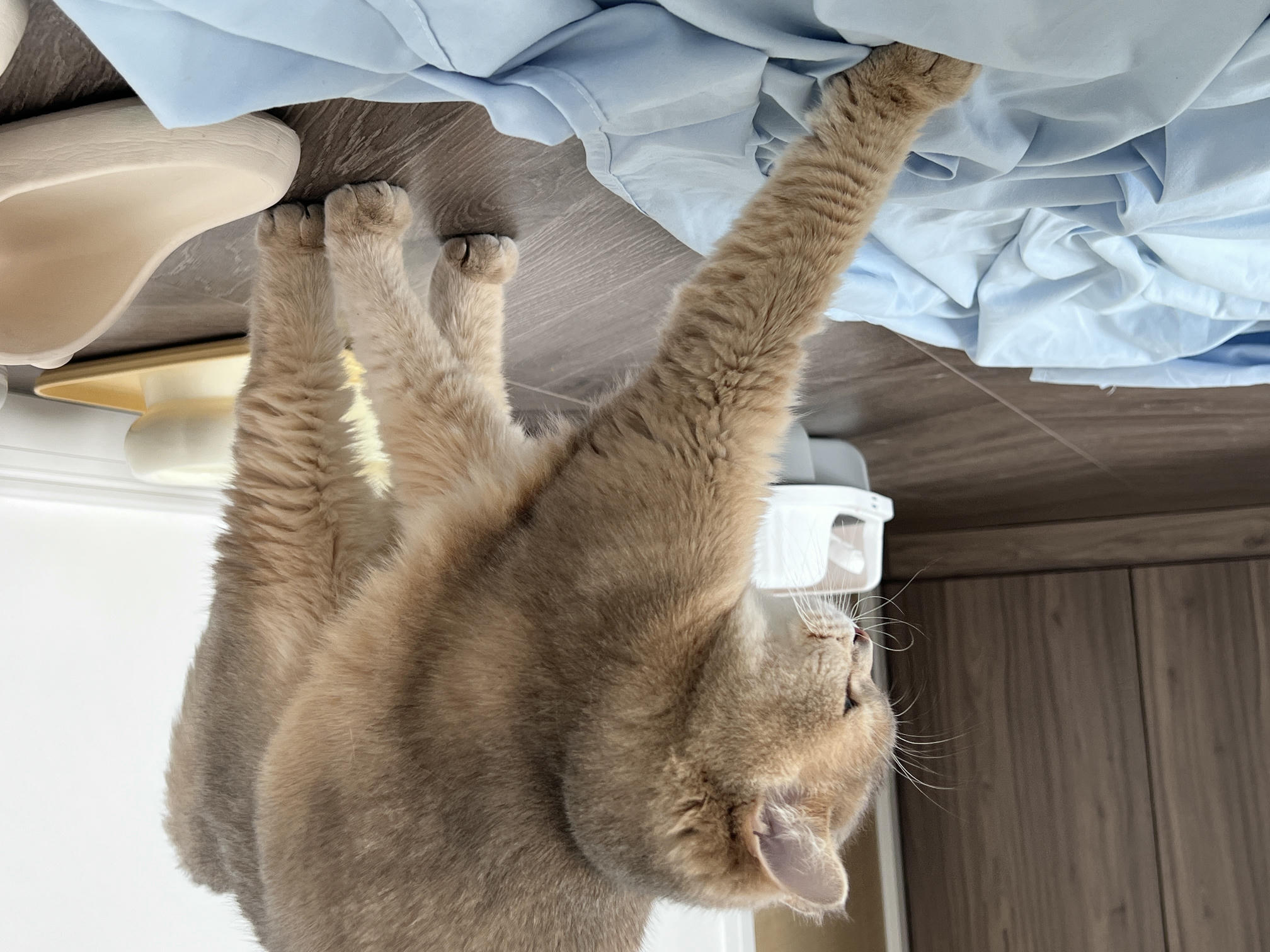 眼酱大魔王w NO.057 23年3月 fantia合集[44P-5V-253.2M]-3.10_3.15 制服×タイツ___第1集