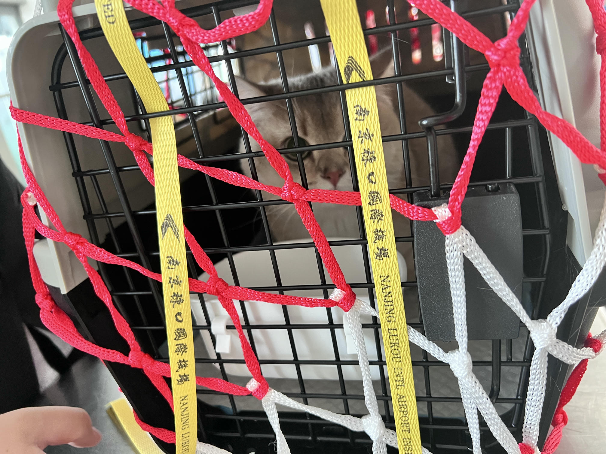 眼酱大魔王w NO.057 23年3月 fantia合集[44P-5V-253.2M]-3.10_3.15 制服×タイツ___第1集