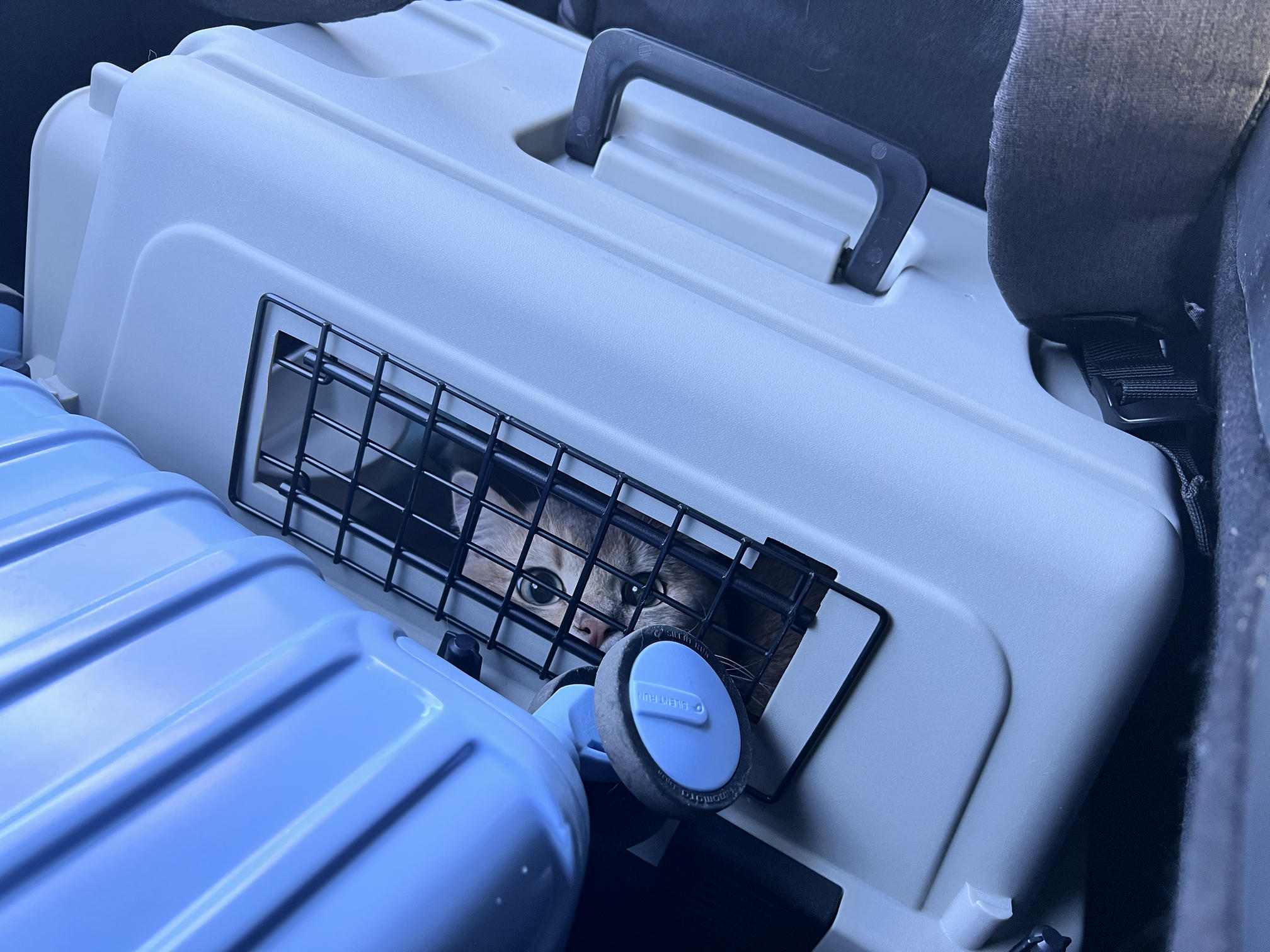 眼酱大魔王w NO.057 23年3月 fantia合集[44P-5V-253.2M]-3.10_3.15 制服×タイツ___第1集