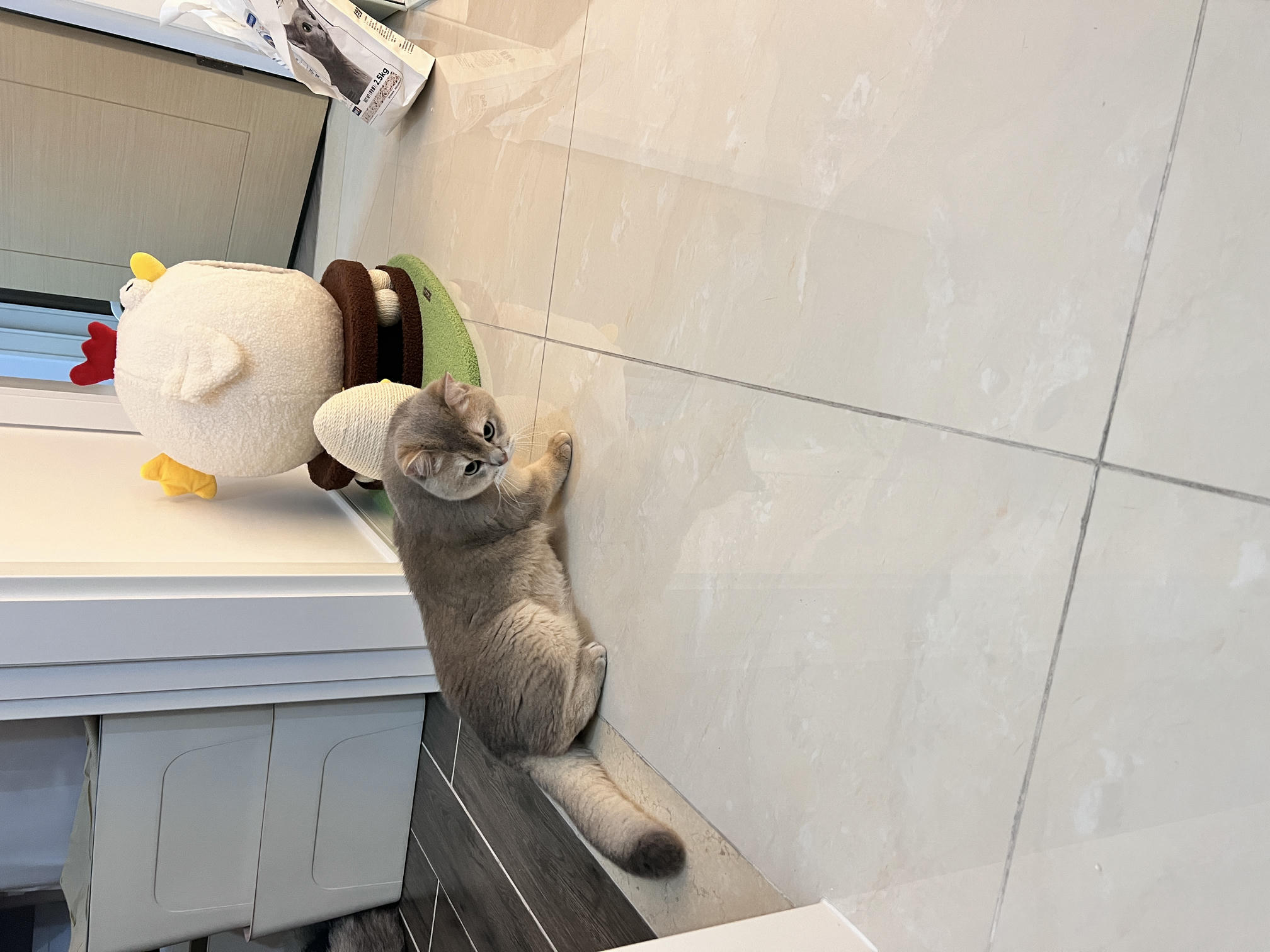 眼酱大魔王w NO.057 23年3月 fantia合集[44P-5V-253.2M]-小恶魔z__第1集