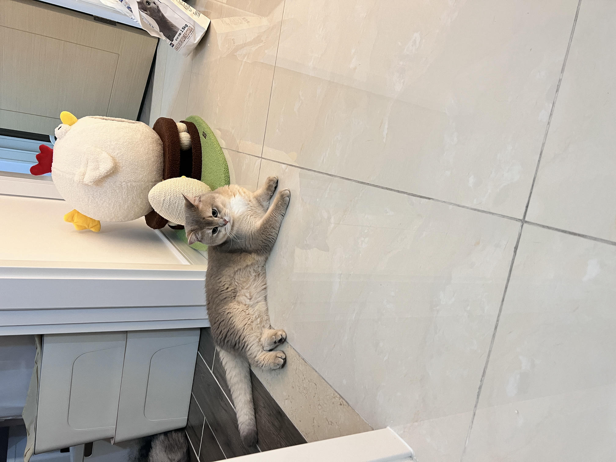 眼酱大魔王w NO.057 23年3月 fantia合集[44P-5V-253.2M]-小恶魔z__第1集