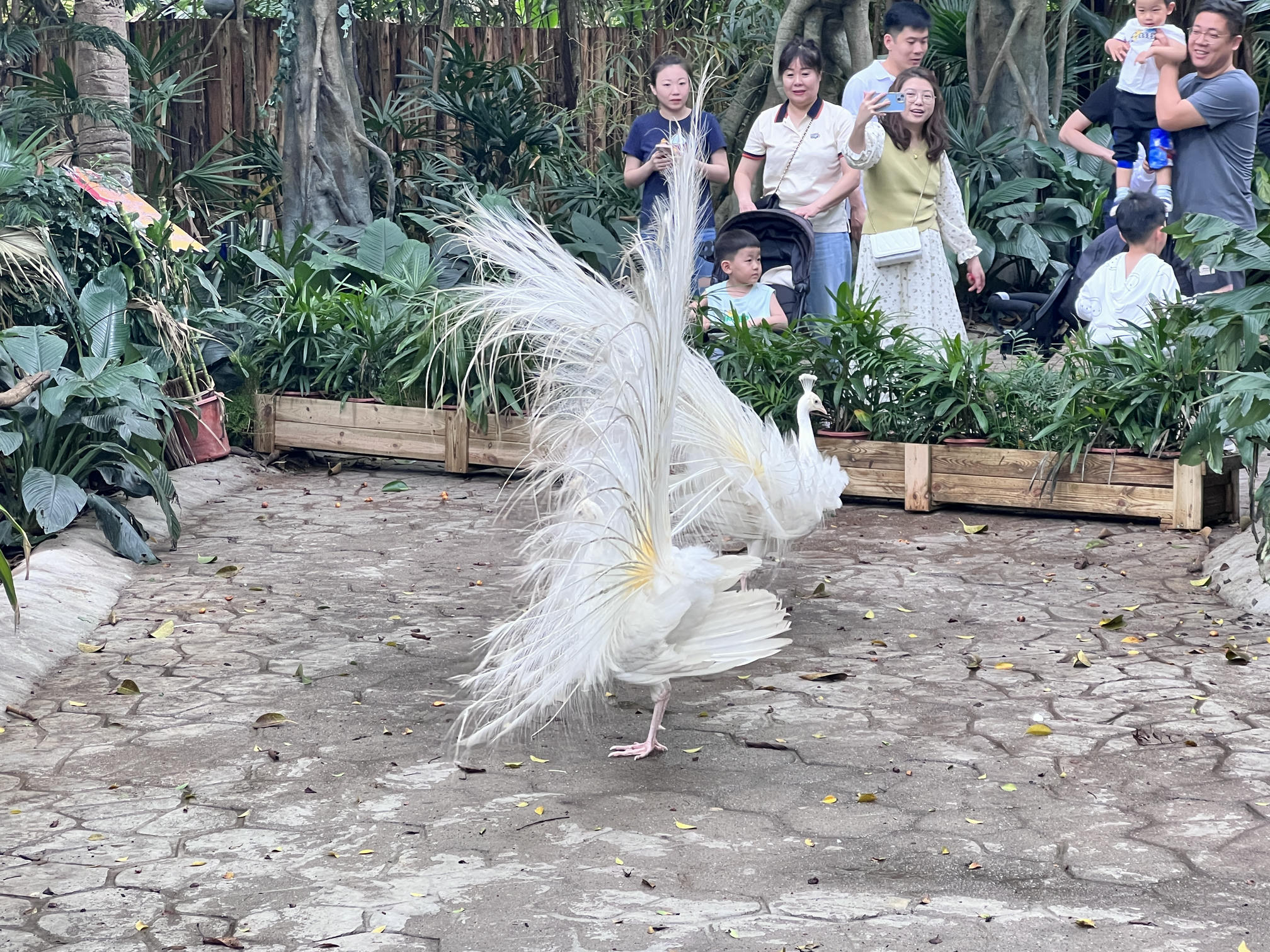 眼酱大魔王w NO.058 23年4月 fantia订阅[38P-2V-179.1M]-pu4月_第1集