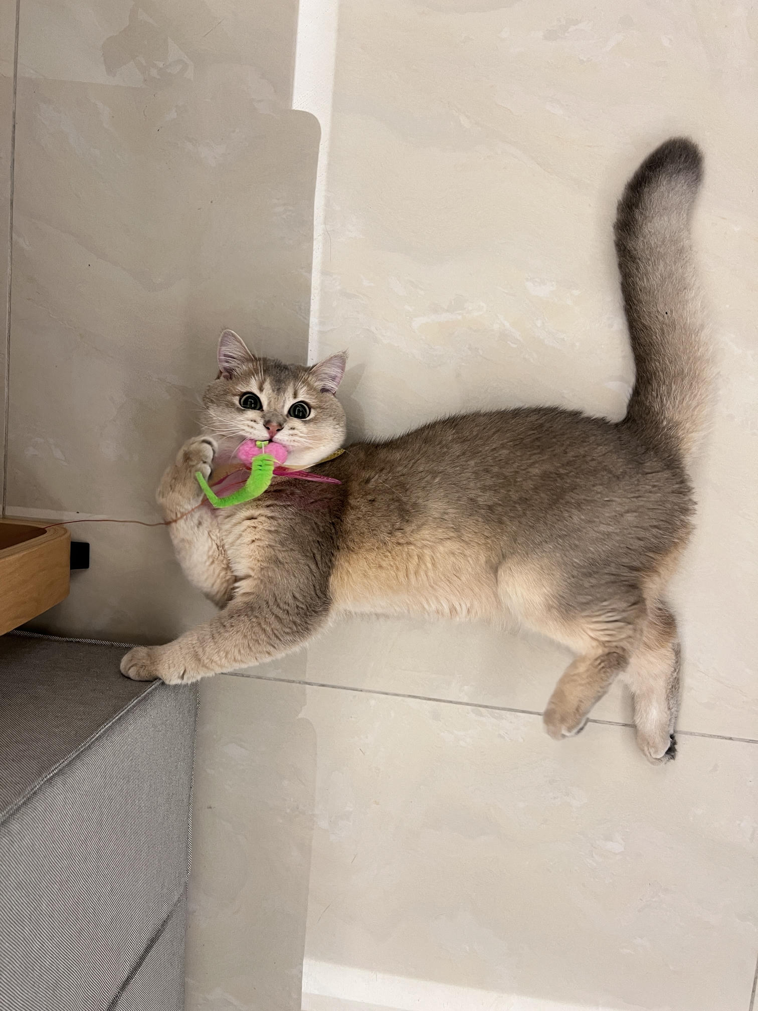 眼酱大魔王w NO.058 23年4月 fantia订阅[38P-2V-179.1M]-pu4月_第1集