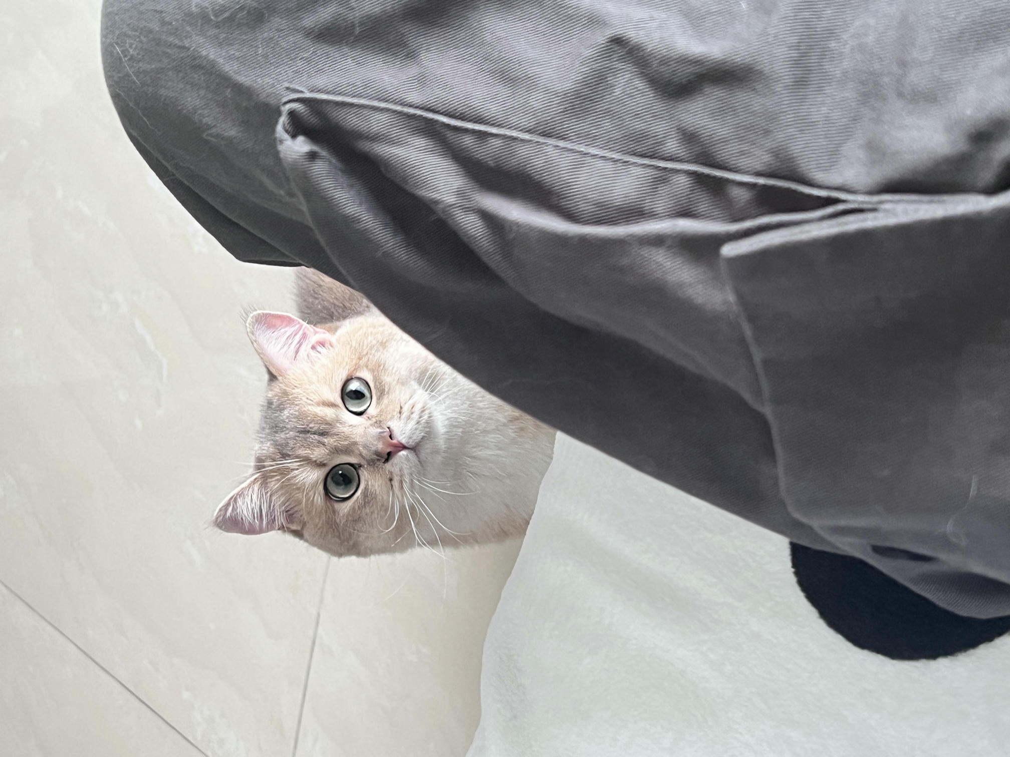 眼酱大魔王w NO.058 23年4月 fantia订阅[38P-2V-179.1M]-pu4月_第1集