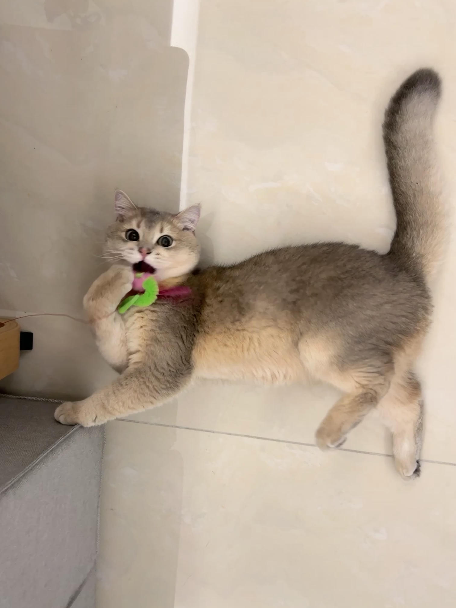 眼酱大魔王w NO.058 23年4月 fantia订阅[38P-2V-179.1M]-pu4月_第1集