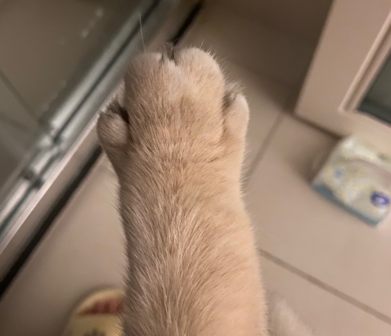 眼酱大魔王w NO.058 23年4月 fantia订阅[38P-2V-179.1M]-ハッピーウイークエンド♡_第1集