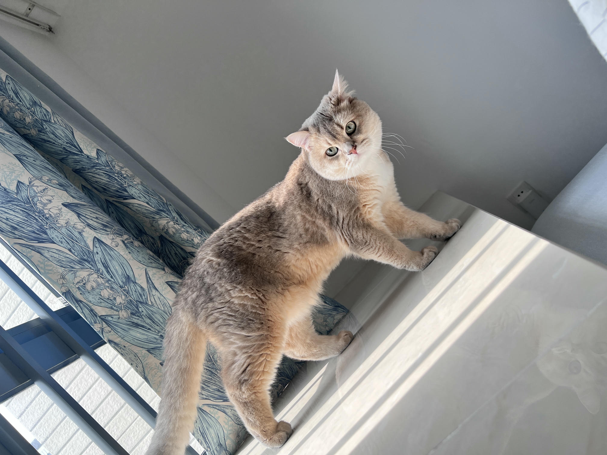 眼酱大魔王w NO.058 23年4月 fantia订阅[38P-2V-179.1M]-動画セクシーお医者さん_第1集