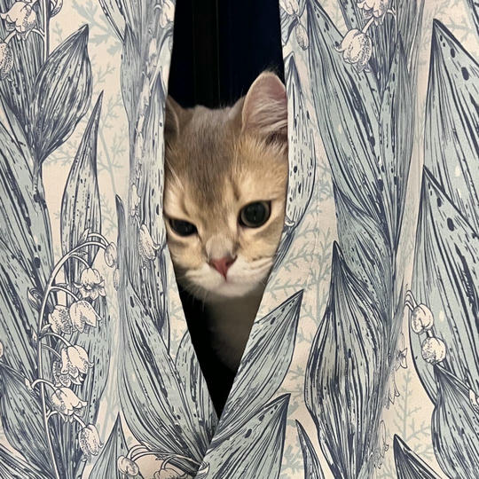 眼酱大魔王w NO.058 23年4月 fantia订阅[38P-2V-179.1M]-動画セクシーお医者さん_第1集