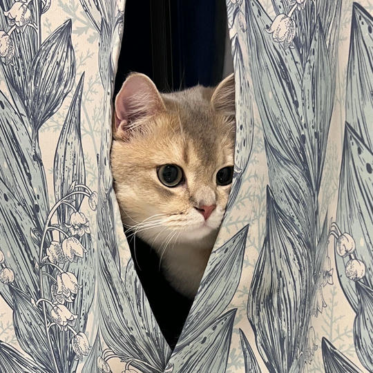 眼酱大魔王w NO.058 23年4月 fantia订阅[38P-2V-179.1M]-動画セクシーお医者さん_第1集